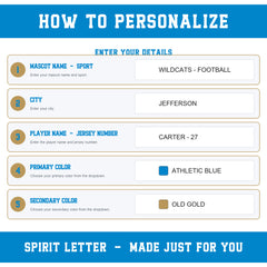 Custom Pinstripe Varsity Team Long Sleeve School Spirit PNG Designs