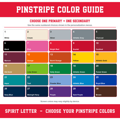 Custom Pinstripe Varsity Team Short Sleeve School Spirit PNG Designs