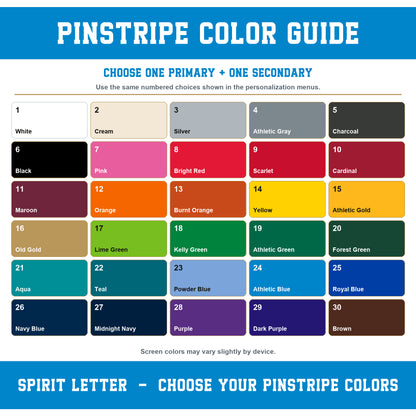 Custom Pinstripe Varsity Team Long Sleeve School Spirit PNG Designs